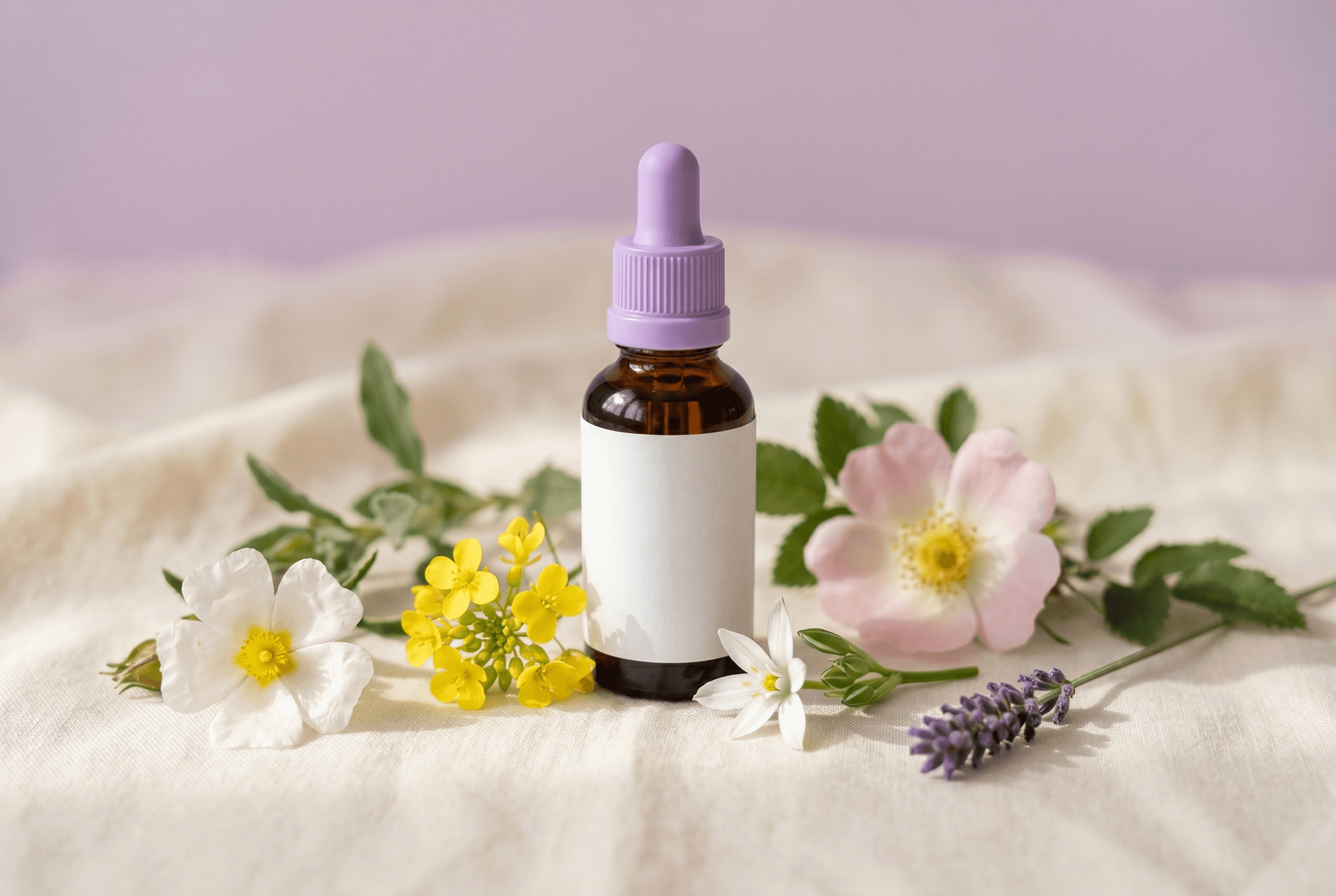 Florais de Bach: para que servem e como usar